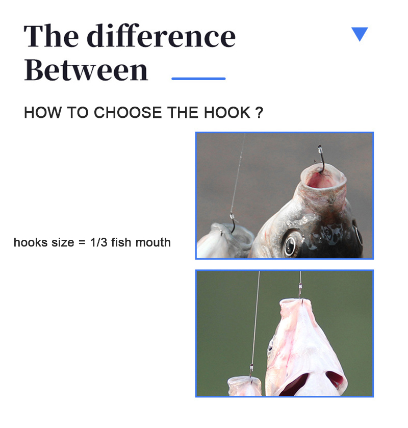 10 paires d'hameçons de pêche  - Fishing Hook Assortment avis et prix